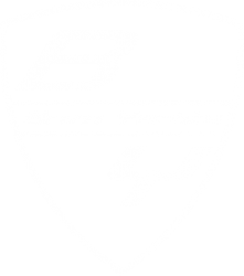 Brizo Yachts